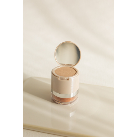 DUAL PEACH GLOW -BLUSH & HIGHIGTHER