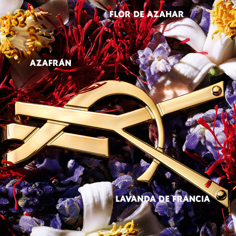 LIBRE LE PARFUM VAPORIZADOR de Yves Saint Laurent