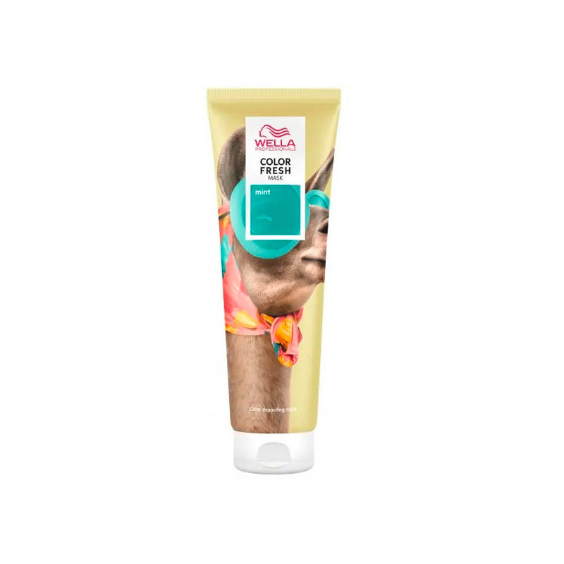 Color Fresh Mask Mint 150ml