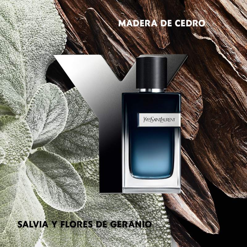 Y MEN EAU DE PARFUM de Yves Saint Laurent