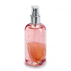 Phyto Teint Eclat 006 AMBER