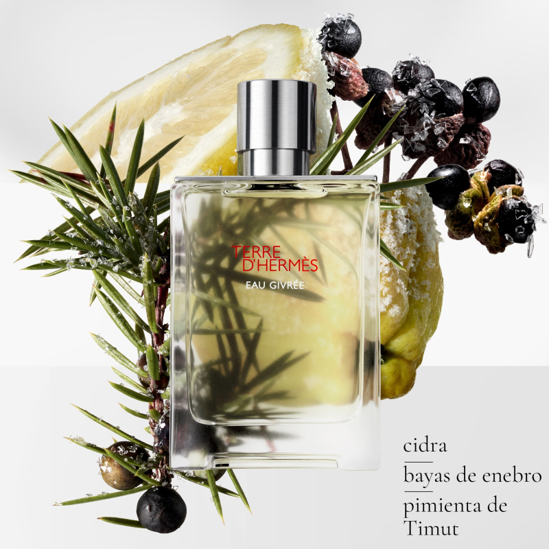 TERRE D'HERMÈS EAU GIVRÉE 100ml TERRE D'HERMÈS EAU GIVRÉE EAU DE PARFUM de Hermès