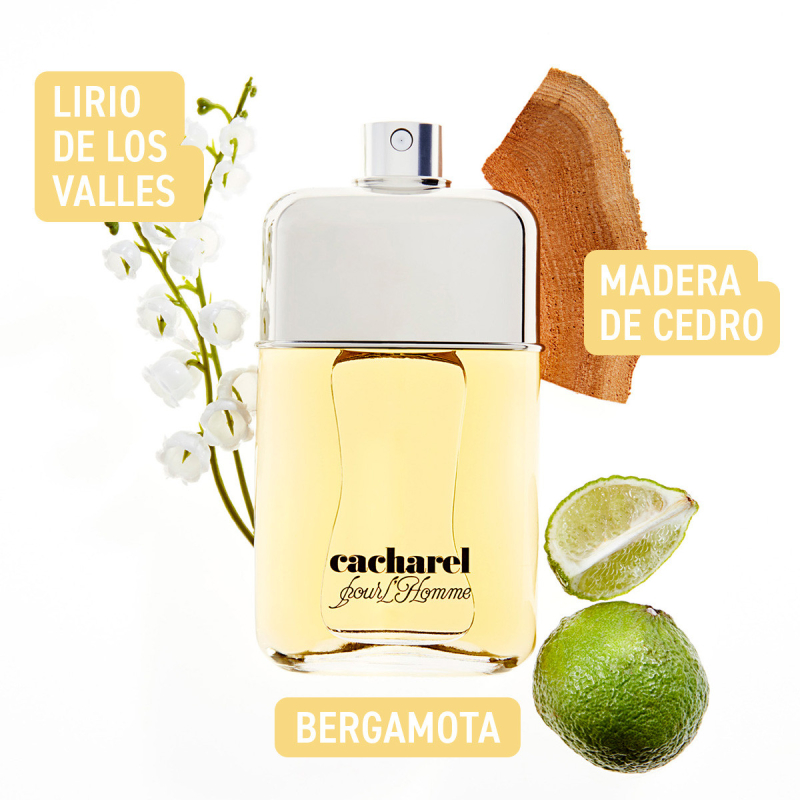 CACHAREL HOMME EAU DE TOILETTE 100ML de Cacharel