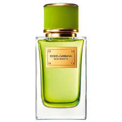 dolce & gabbana velvet mughetto