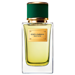 dolce & gabbana velvet vetiver