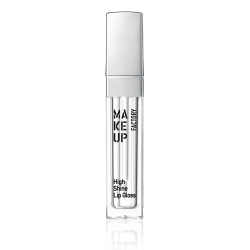 HIGH SHINE LIP GLOSS CINNAMON ROSE