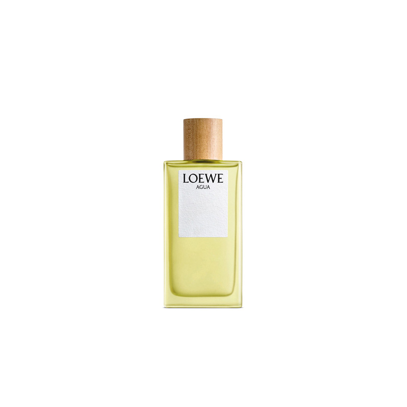 Loewe Agua Edt 150 Ml