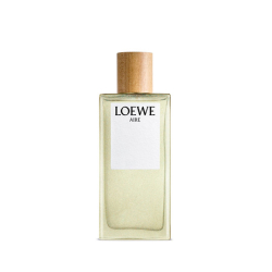 loewe aire
