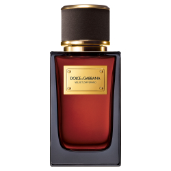 dolce & gabbana velvet zafferano