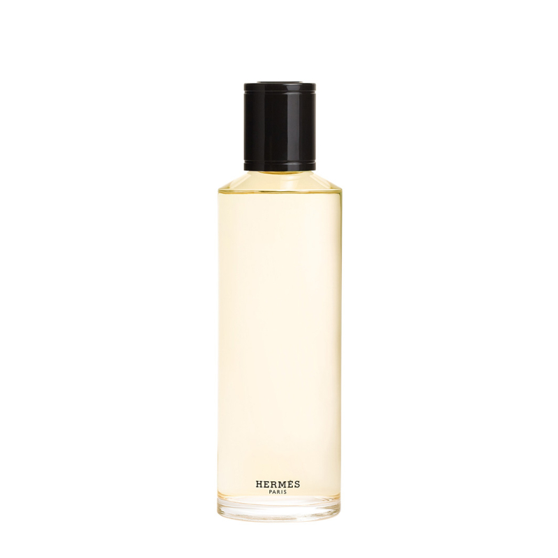 Terre D'hermès Eau De Parfum Intense Recarga 200 Ml