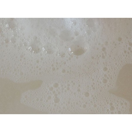 BALANCING BODY WASH 480ML