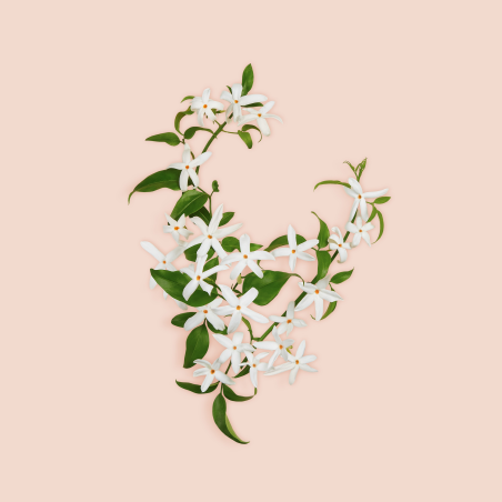 Gucci Bloom Parfum para Mujer