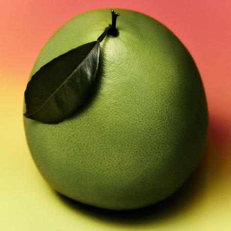 Pomelo Eau de Toilette Perfume para Mujer de Adolfo Dominguez