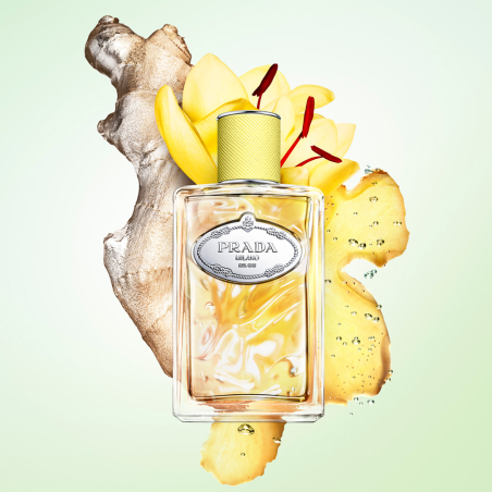 INFUSION GINGEMBRE