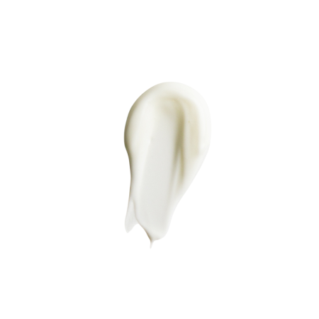 Perfect Moisturizer