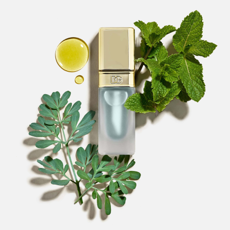 Lip Mint Oil Plumper
