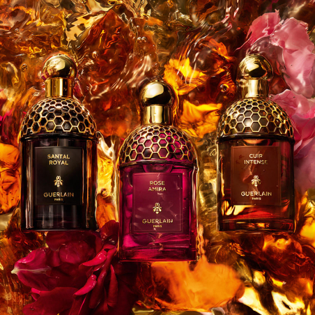 Absolus Allegoria Santal Royal Eau de Parfum | Perfumería Júlia