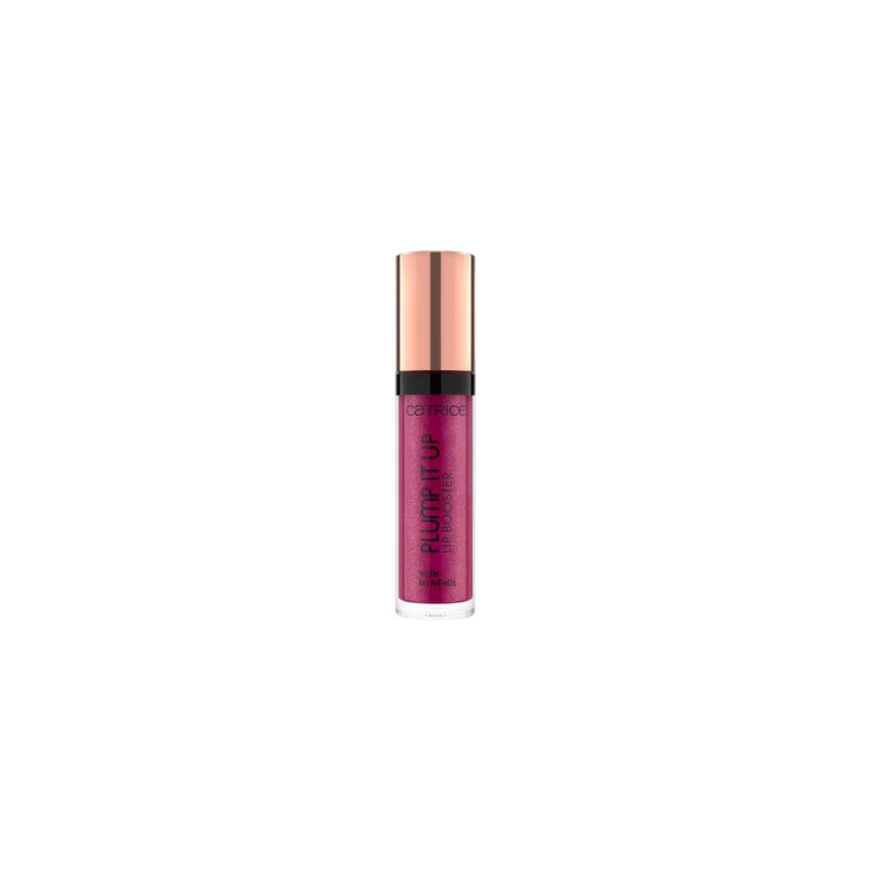 Lip Booster Labial Plump It Up 110
