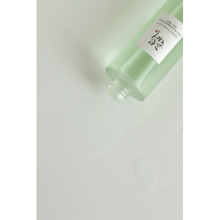 Green Plum Refreshing Toner: Aha + Bha