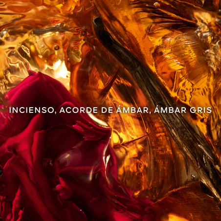 Absolus Allegoria Ambre Samar Eau de Parfum
