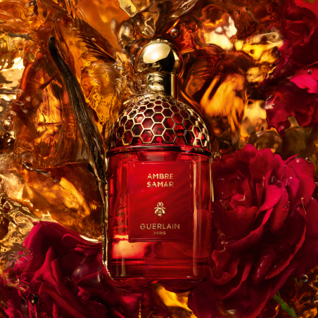 Absolus Allegoria Ambre Samar Eau de Parfum