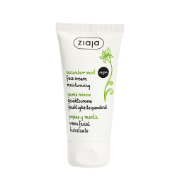 Pepino y Menta Crema Facial Hidratante para Piel Mixta o Grasa