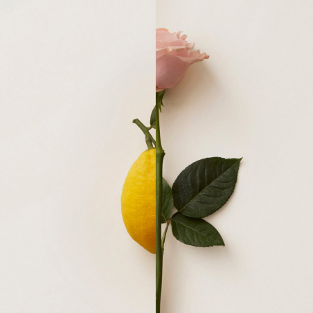 Rosa Limone Extrait De Parfum