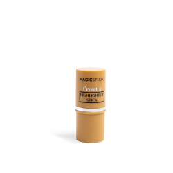 Basics Highlihgter Stick