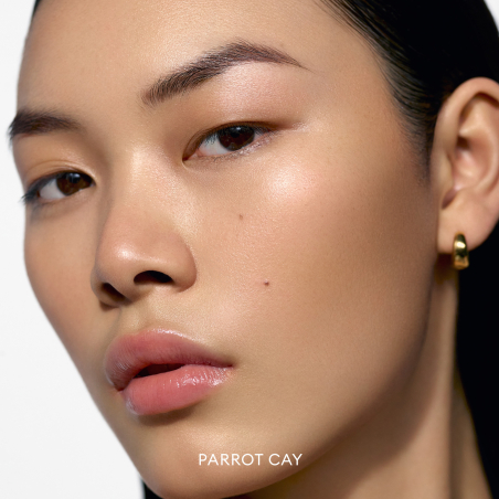 Solar Infusion Soft-Focus Cream Bronzer