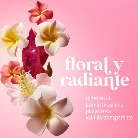 Beija Flor Elasti-Cream