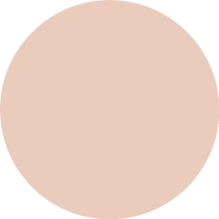Base de Maquillaje en Stick Foundation Stick