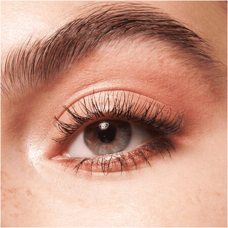 The Rose Edition Eyeshadow Palette