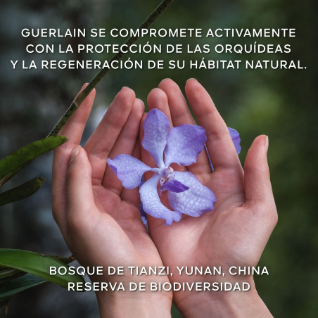Orchidée Impériale La Crema de Longevidad