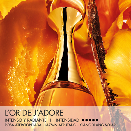 L'OR DE J'ADORE