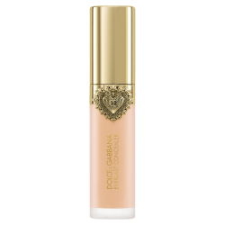Everlast Concealer