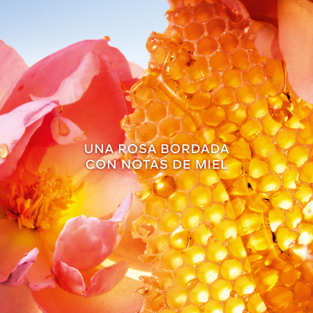 La Petite Robe Noire Honey Rose Eau de Parfum Edición Limitada