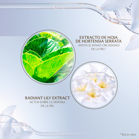 Protective Day Emulsion