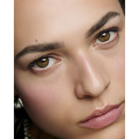 Les Signes de Chanel Colorete Iluminador en Polvo