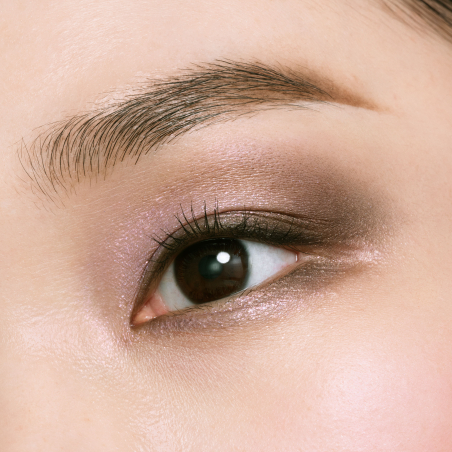 Eye Color Quad 504 Edición Limitada