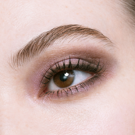 Eye Color Quad 504 Edición Limitada