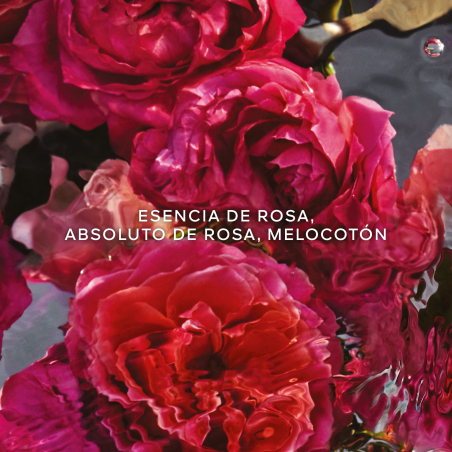 Set Aqua Allegoria Forte Rosa Rossa Eau de Parfum