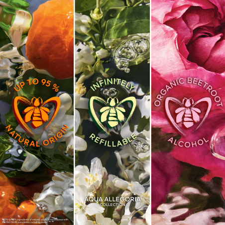 Set Aqua Allegoria Forte Rosa Rossa Eau de Parfum