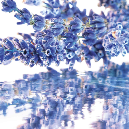 Set Mon Guerlain Eau de Parfum