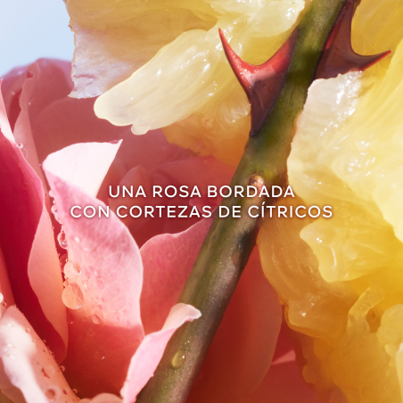 Set La Petite Robe Noire Eau de Toilette & Body Lotion