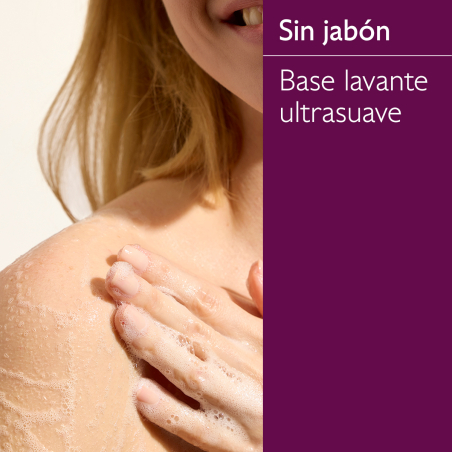 Set Agua Fresca Thé des Vignes + Regalos