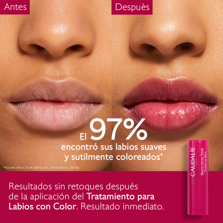 Stick Tratamiento Labios Color
