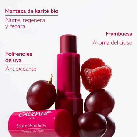 Stick Tratamiento Labios Color