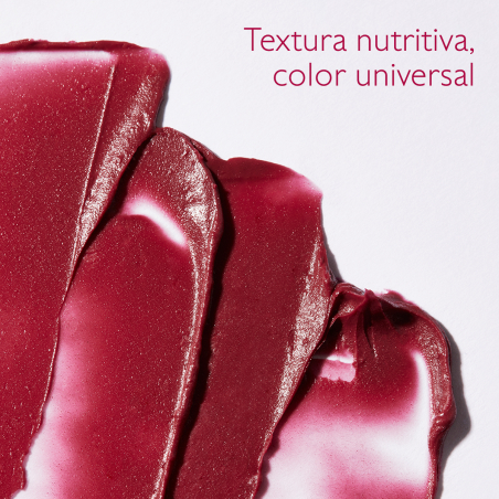 Stick Tratamiento Labios Color