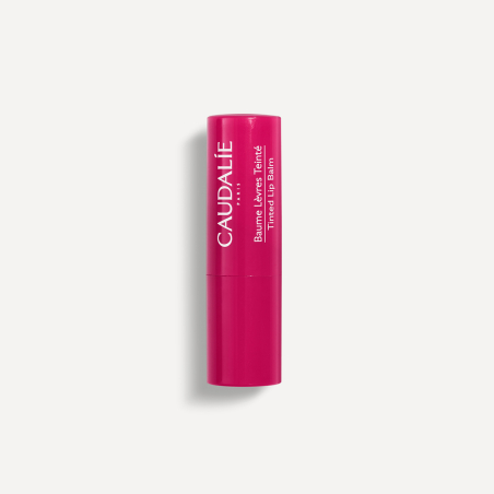 Stick Tratamiento Labios Color