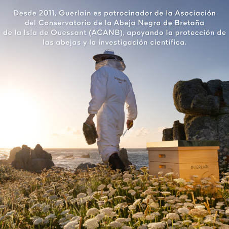 Abeille Royale Tratamiento Honey Bond Treatment sin Aclarado